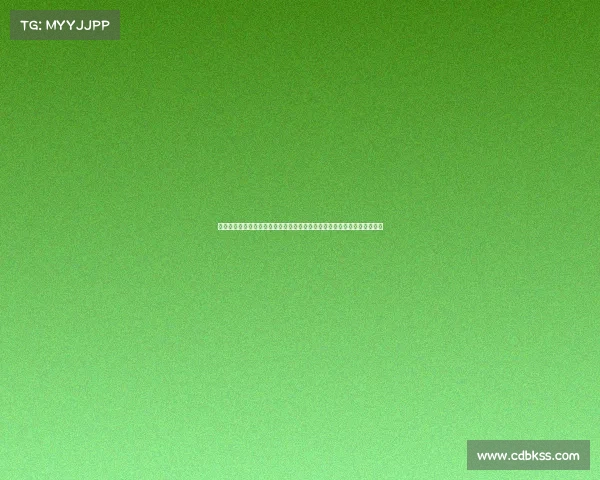 斯巴达国际赛事—斯巴达国际赛事全球勇者集结极限挑战激情对决荣耀盛典